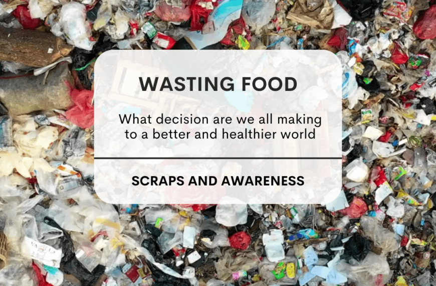 What are some ways we are able to reduce food waste in the USA